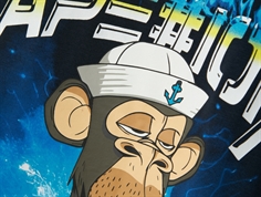 Name It dark sapphire Bored of Directors t-shirt